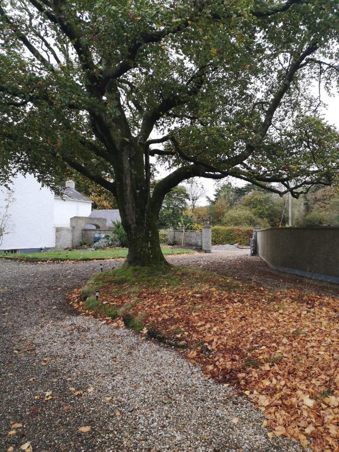 Vila Kilpatrick Glebe Crossabeg Exteriér fotografie
